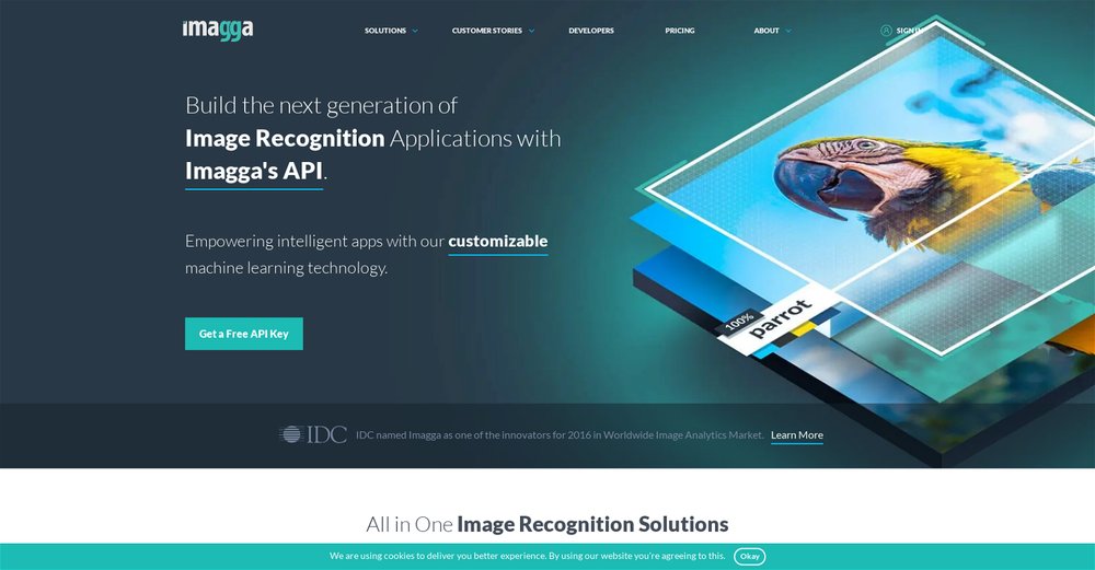 Приложение искусственного интеллекта Imagga