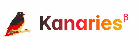 Kanaries - набор инструментов для расширенного исследования данных аналитики, визуальной аналитики и обработки данных для понимания