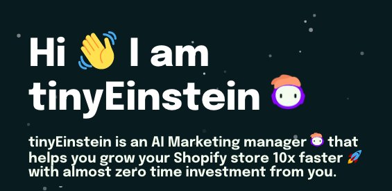 tinyEinstein - платформа в качестве менеджера по маркетингу для магазинов shopify